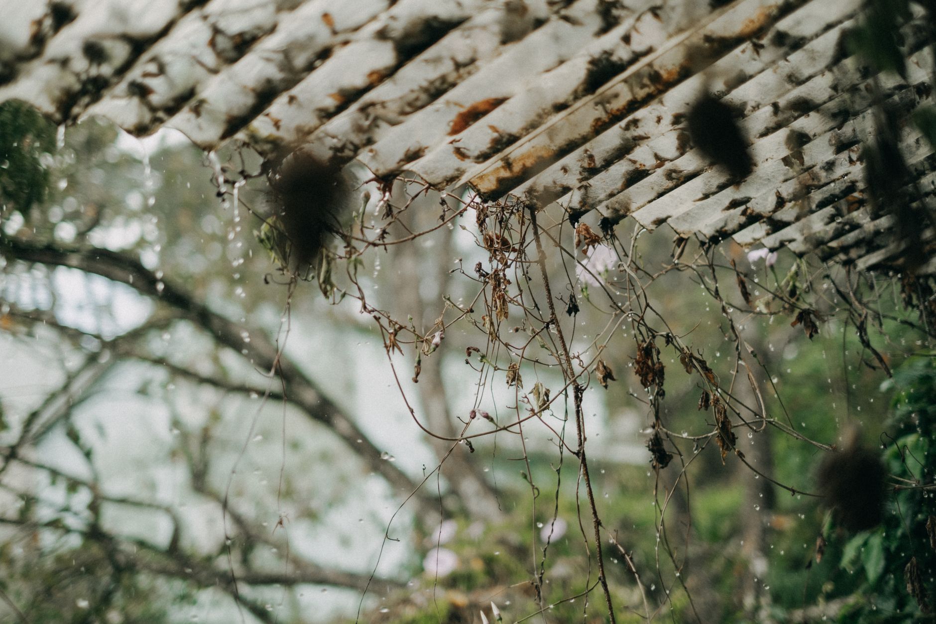 Gutter Cleaning – New Braunfels